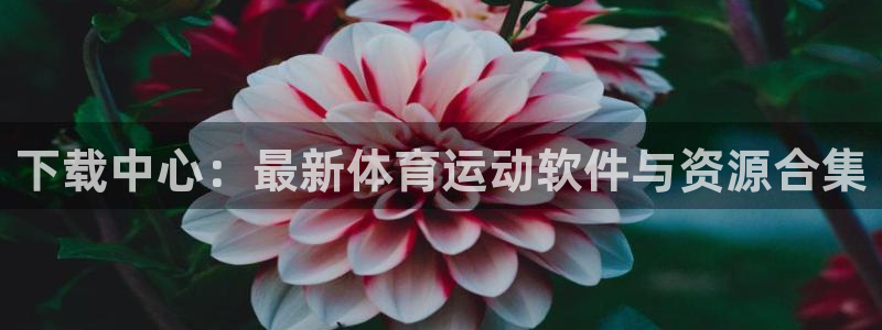 qy球友会体育网站
