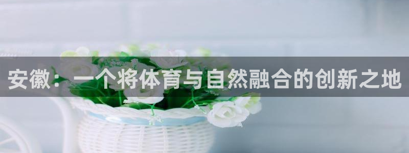 qy球友会体育