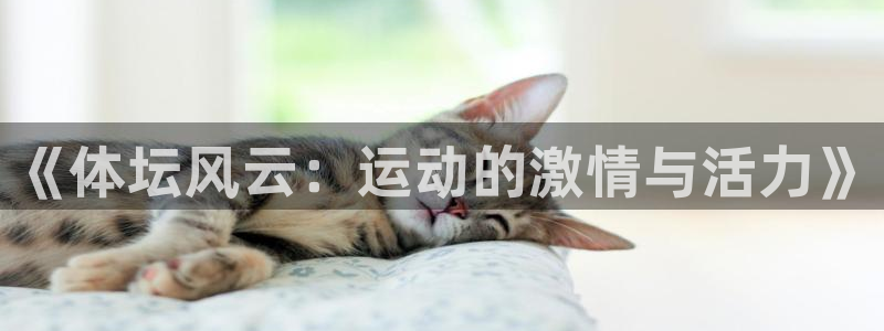 qy球友会体育