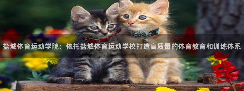 qy千亿球友会体育