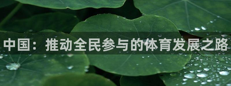 球友会体育官网：中国：推动全民参与的体育发展之路